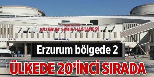 Erzurum bölgede 2, ülkede 20’inci sırada