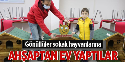 Gönüllüler sokak hayvanlarına ahşaptan ev yaptılar