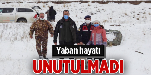 Yaban hayatı unutulmadı