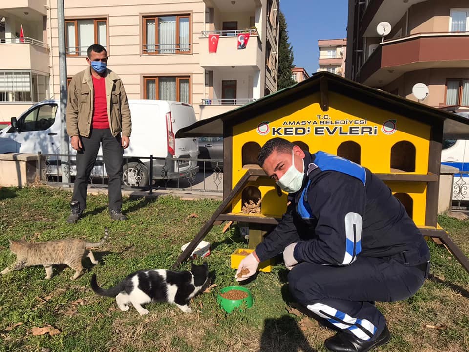 Amasya Belediyesi sokak hayvanları ve kuşlar için mama ile yem dağıttı