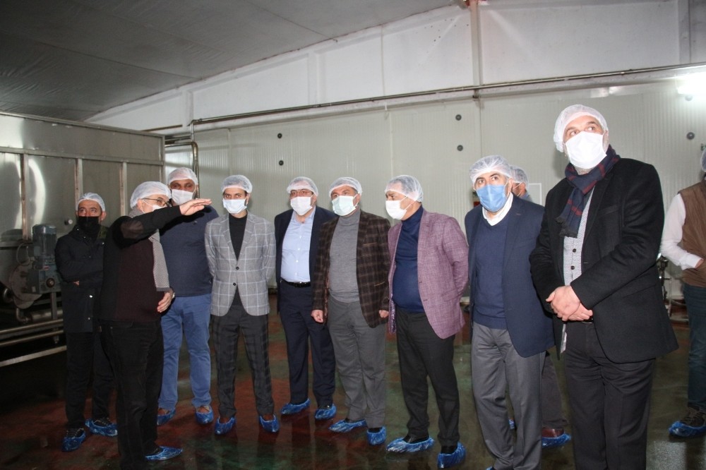 Dut pekmezi fabrikalarını incelediler