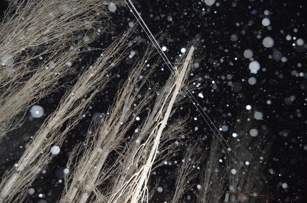 Fırtınada kırılan ağaç dalı mahalleyi 1 saat elektriksiz bıraktı