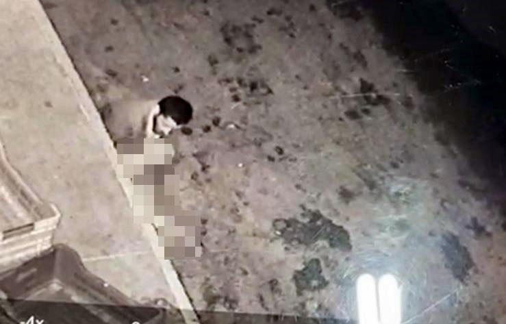 Halde mide bulandıran görüntüler