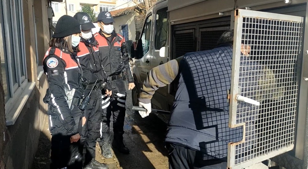 İnsanlık dışı olayın şüphelisine gözaltı