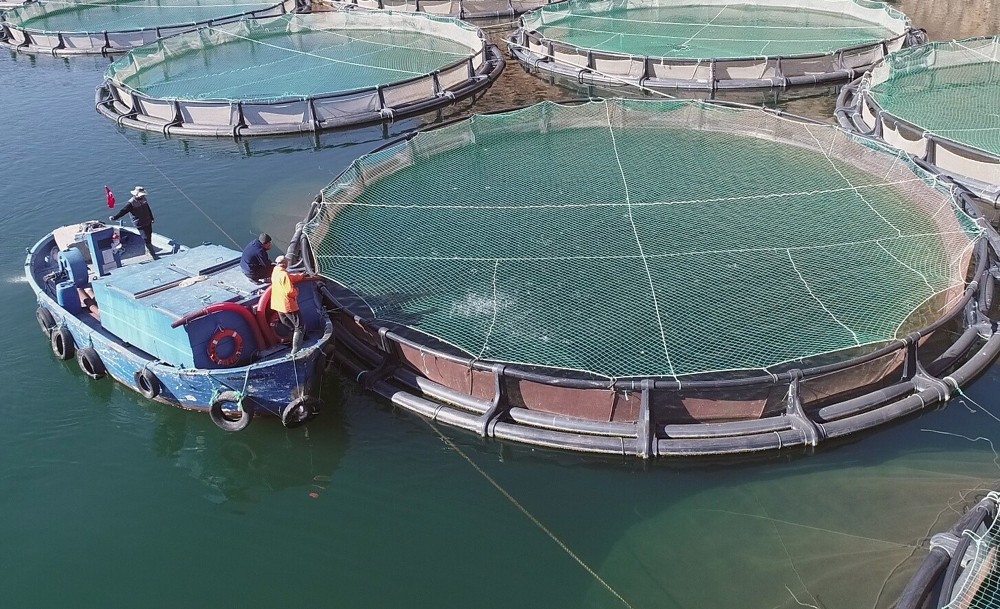 Muğla’nın Kasım ayında ihracatı yüzde 24,1 arttı