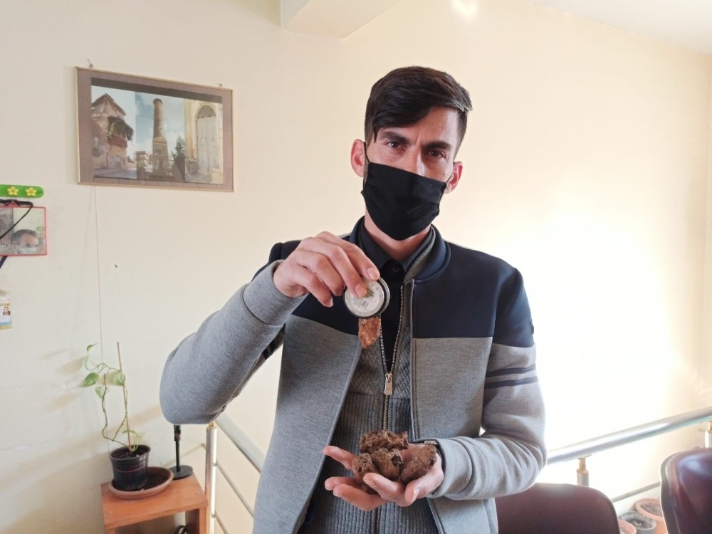 Siirt’te bir kişi, tarlasında bulduğu taşları 50 bin dolardan satışa çıkardı