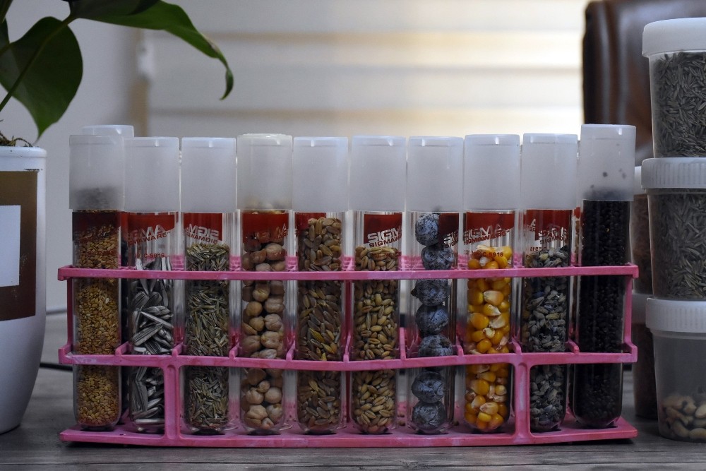 Tarsus’tan İstanbul’a TUBİTAK projesi için 1 milyon tohum