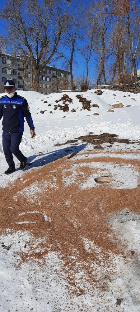 Zabıta ekipleri doğaya kuşlar için yem bıraktı