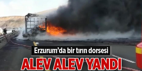 Seyir halindeki tır yanarak kül oldu