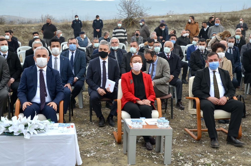 Bakan Yardımcısı Işıkgece, tarlada Taşköprü sarımsağı dikti