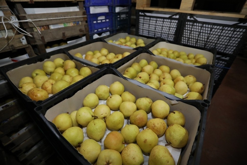 İnegöl tarım modeli Türkiye’ye örnek olacak