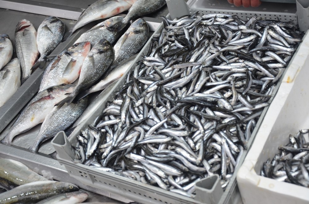 Kar yağışları balık tezgahlarını etkiledi