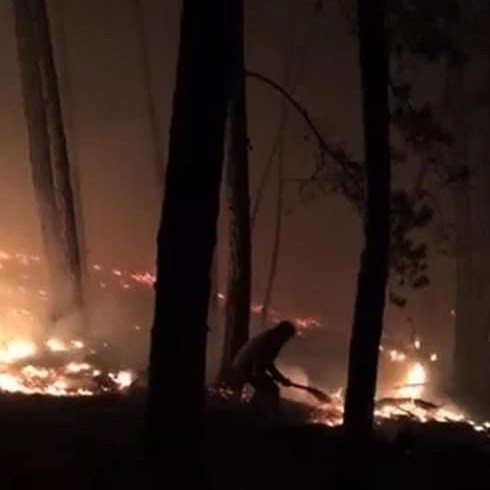 Kastamonu’da orman yangını: Ekipler müdahale ediyor