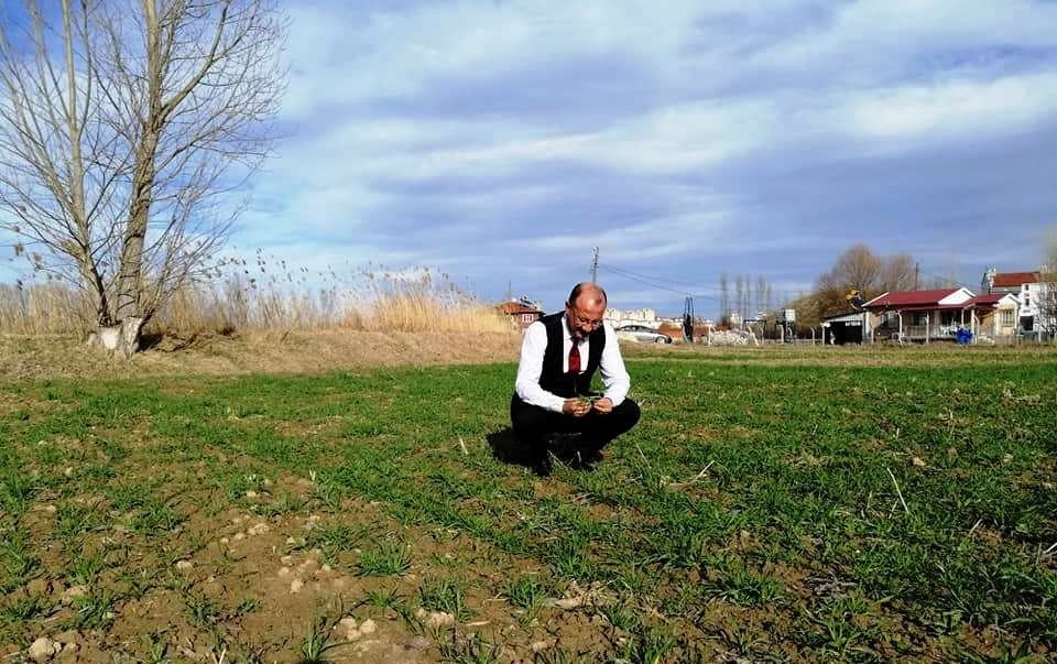 Kütahya’da hububat ekili alanlarda gelişim gözlenmesi yapıldı