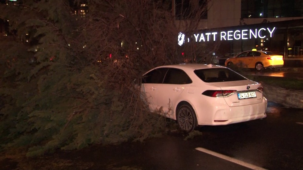 (Özel) Bakırköy’de gövdesinden kırılan ağaç seyir halindeki aracın üzerine düştü