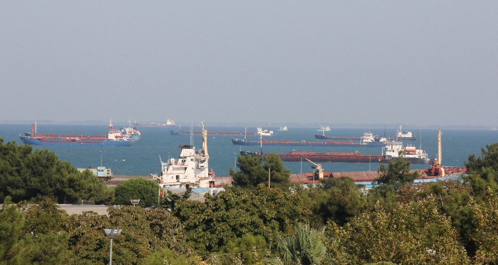 Samsun’dan Uzak Doğu ve Arabistan yarımadasına deniz salyangozu ihracatı