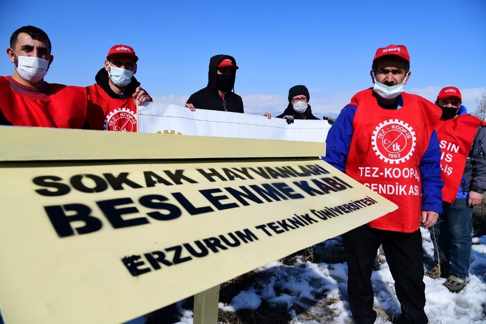 Tez-Koop-İş’ten, ETÜ’nün sokak hayvanlarına yönelik uygulamasına destek