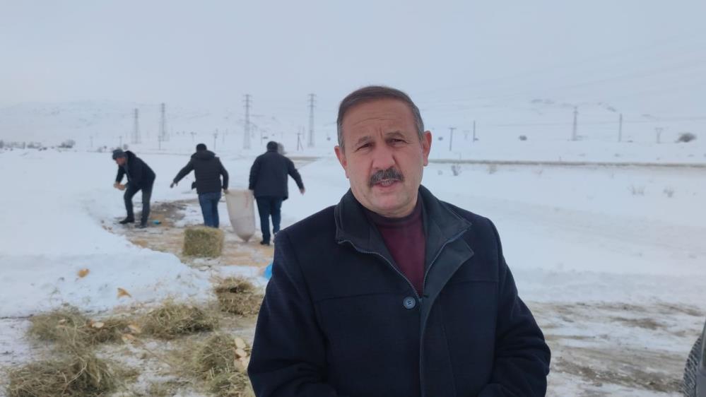 Aşkale’de sokak ve yaban hayvanları beslendi