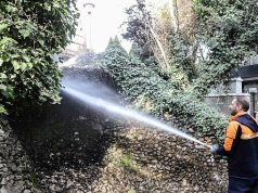 Başkent’in Simgesi Kuğulupark’ta Buharlı Temizlik